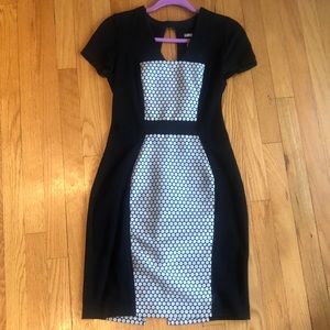 Yoana Baraschi Work Dress